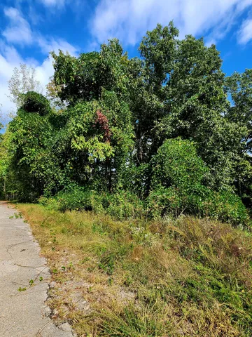 $75,000 | 0 Browbend Drive, Unit 7, Guild, TN 37340