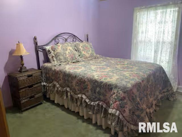 614 West College Street Harrisburg, IL 62946 - Photo 12 of 18