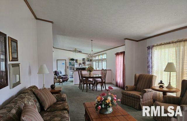 614 West College Street Harrisburg, IL 62946 - Photo 6 of 18