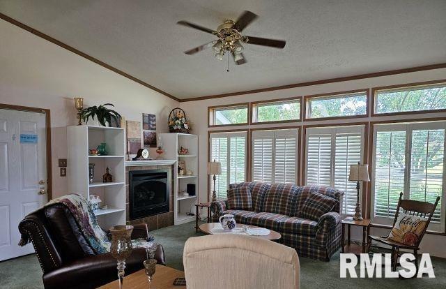 614 West College Street Harrisburg, IL 62946 - Photo 8 of 18