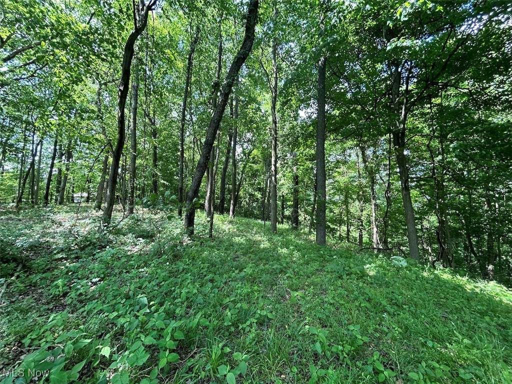 Pear Orchard Road Dresden, OH 43821 - Photo 2 of 43 Gallery Image 2