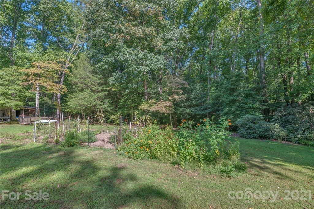 127 Pink Campbell Road, Unit 3B Landrum, SC 29356 - Photo 40 of 46 a view of a forest with a tree