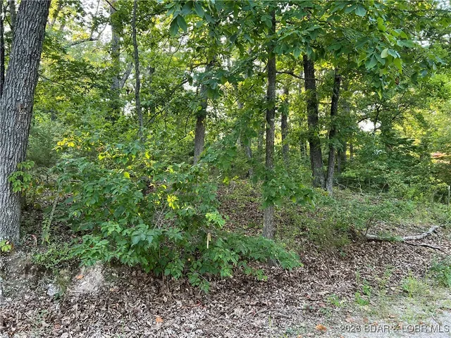 $22,500 | 10-11 12 25 26 27 Lake, Stover, MO 65078