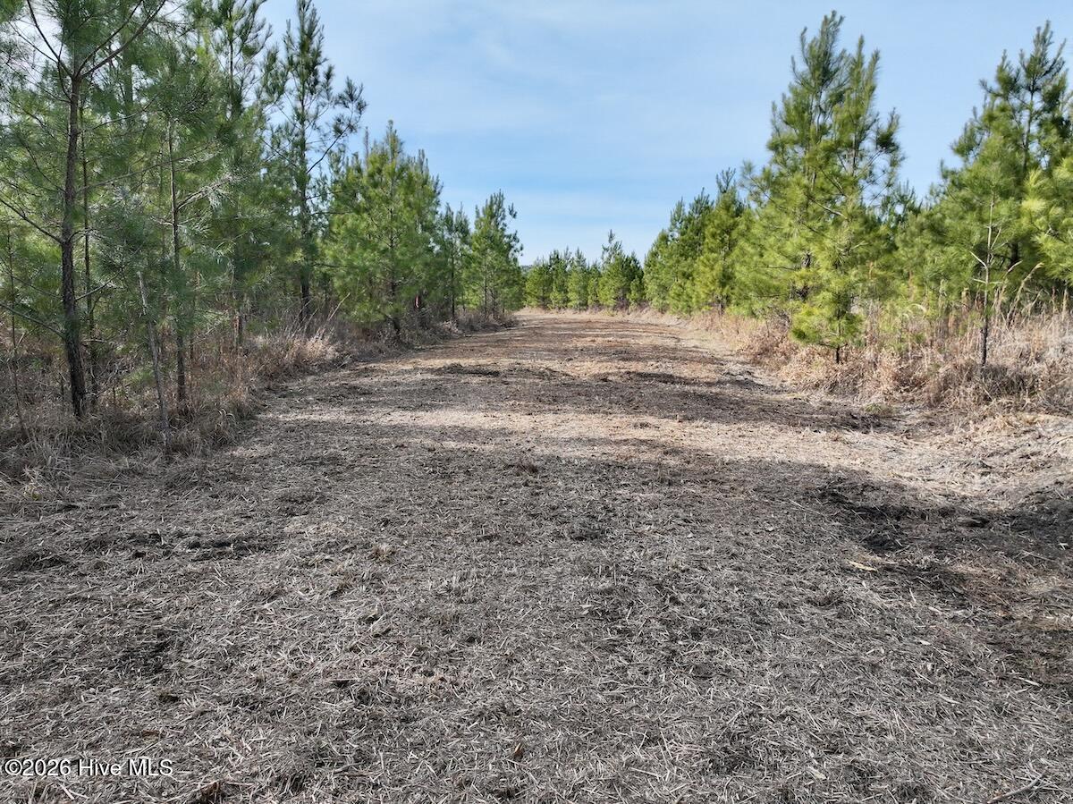 0 Old Washington Road Vanceboro, NC 28586 - Photo 27 of 34 27