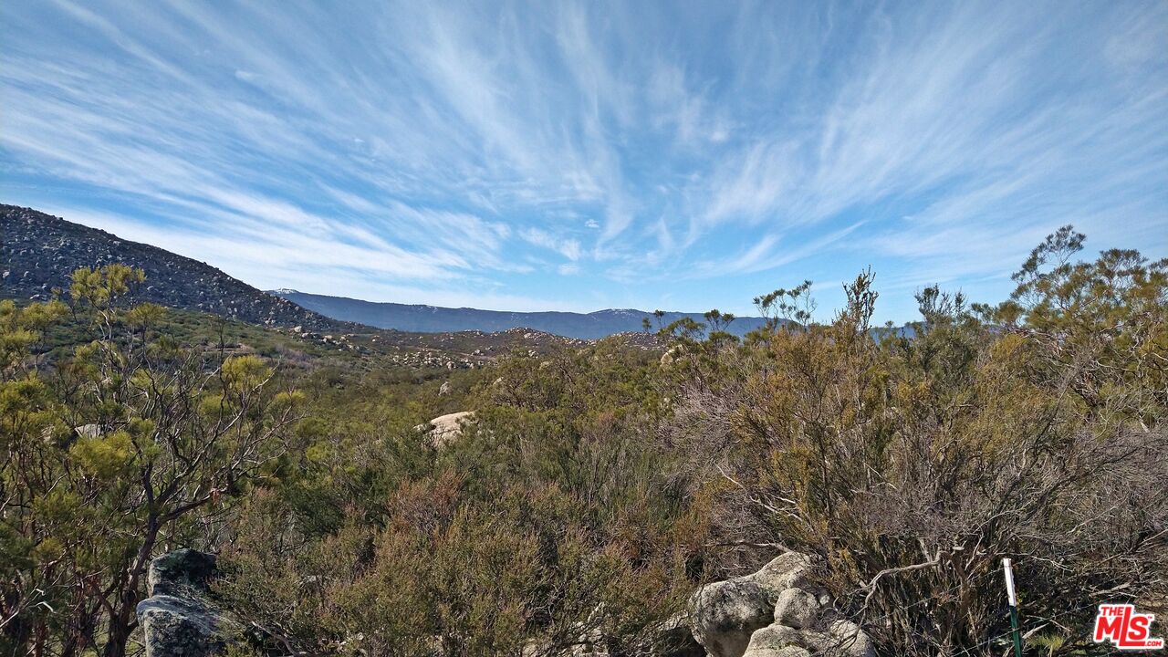 51919 Tule Peak Road Aguanga, CA 92536 - Photo 35 of 44 a view of a city with lush green forest