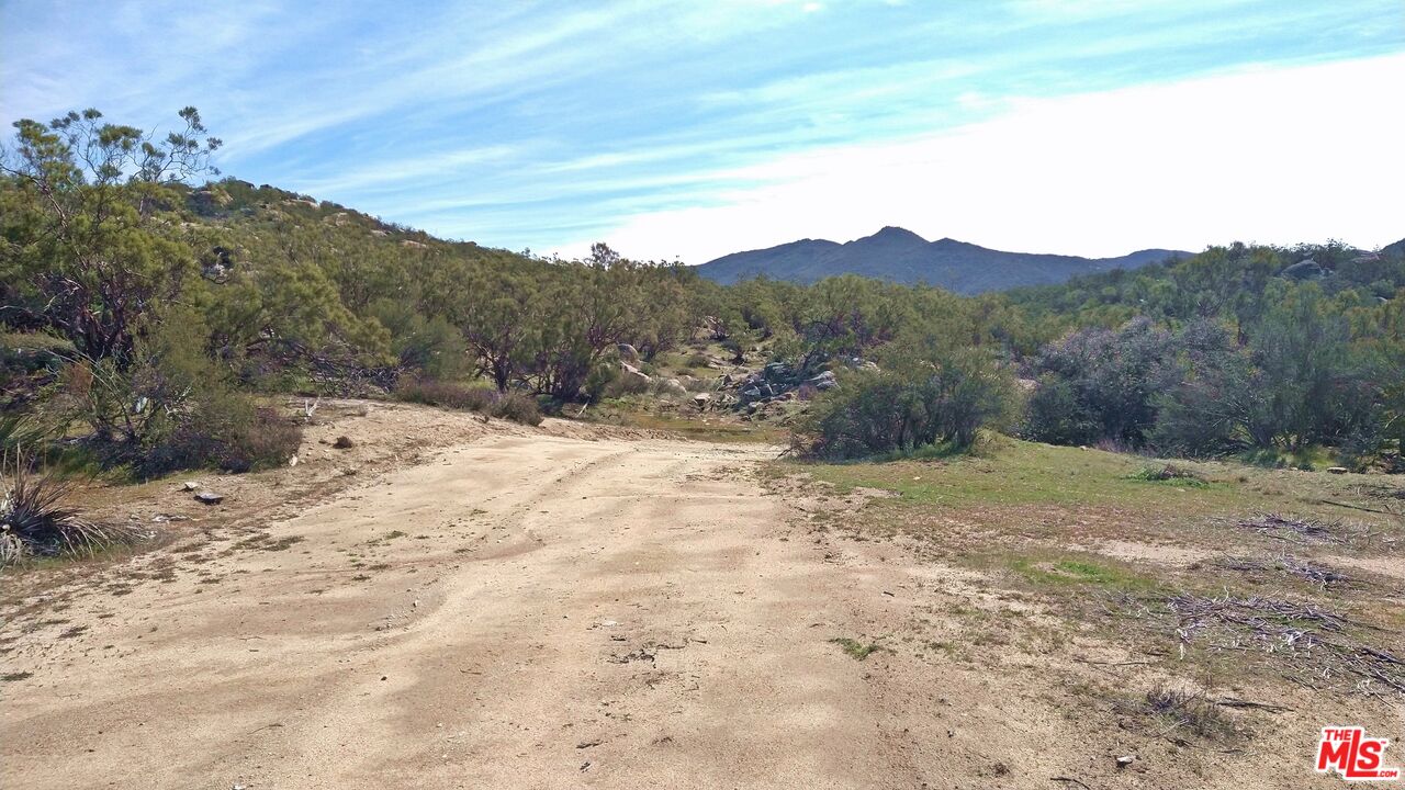 51919 Tule Peak Road Aguanga, CA 92536 - Photo 38 of 44 a view of a dry yard with mountains in the background