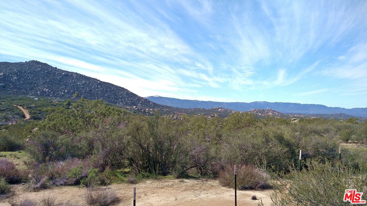 51919 Tule Peak Road Aguanga, CA 92536 - Photo 43 of 44 a view of a forest with mountains in the background