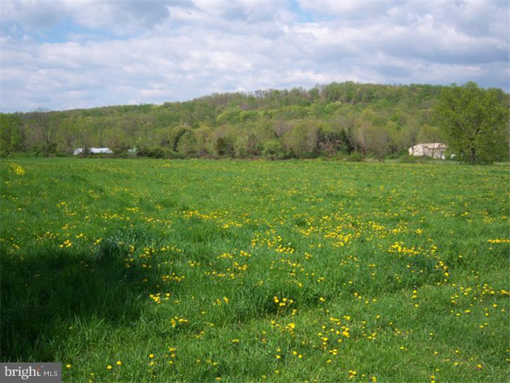 34 Wilt Road Bechtelsville, PA 19505 - Photo 4 of 8 Gallery Image 4