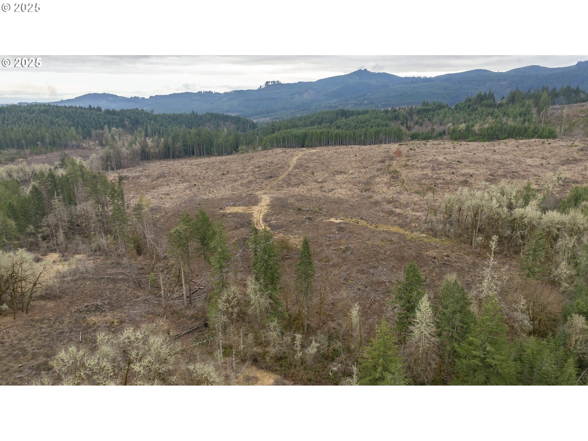 0 Northwest Panther Creek Road Yamhill, OR 97148 - Photo 15 of 28