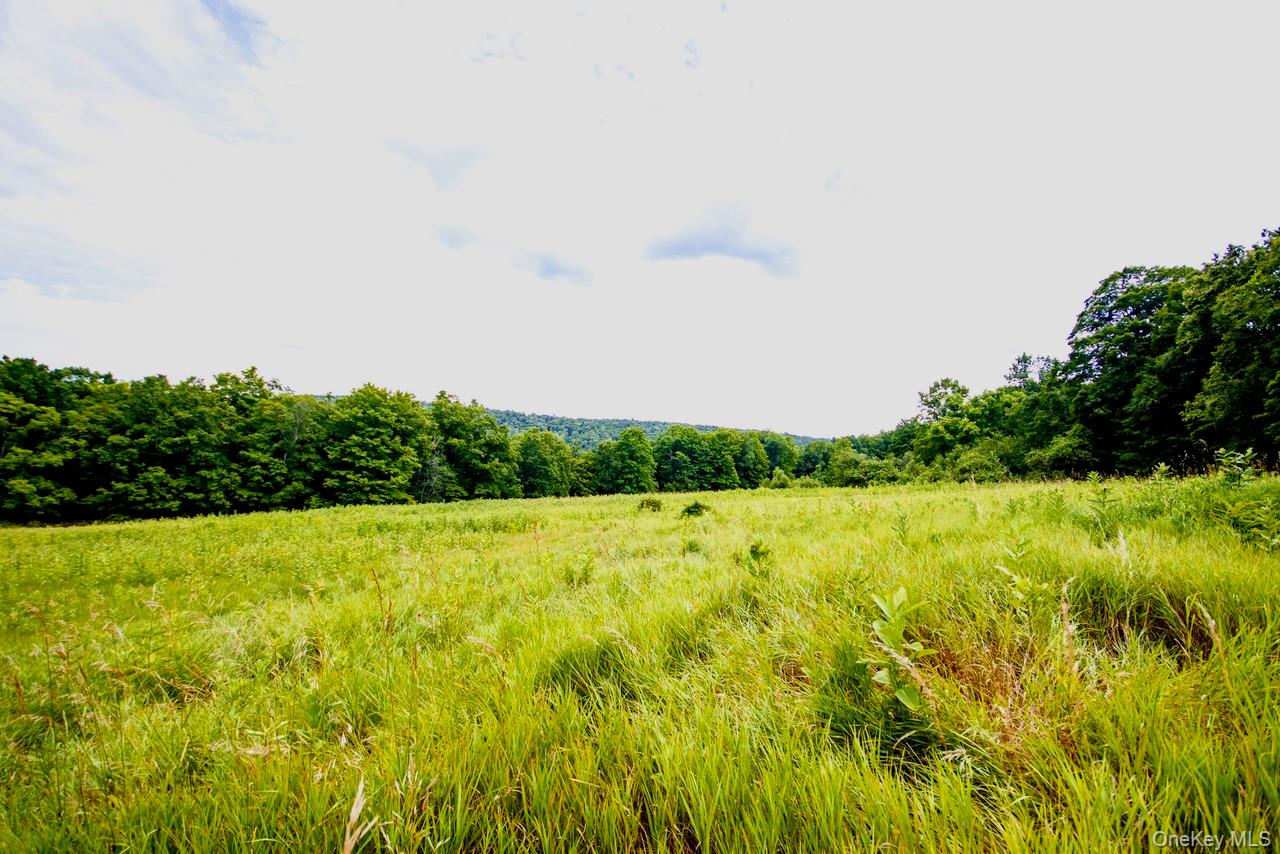 668 Starlight Road Monticello, NY 12701 - Photo 17 of 30 Gallery Image 17