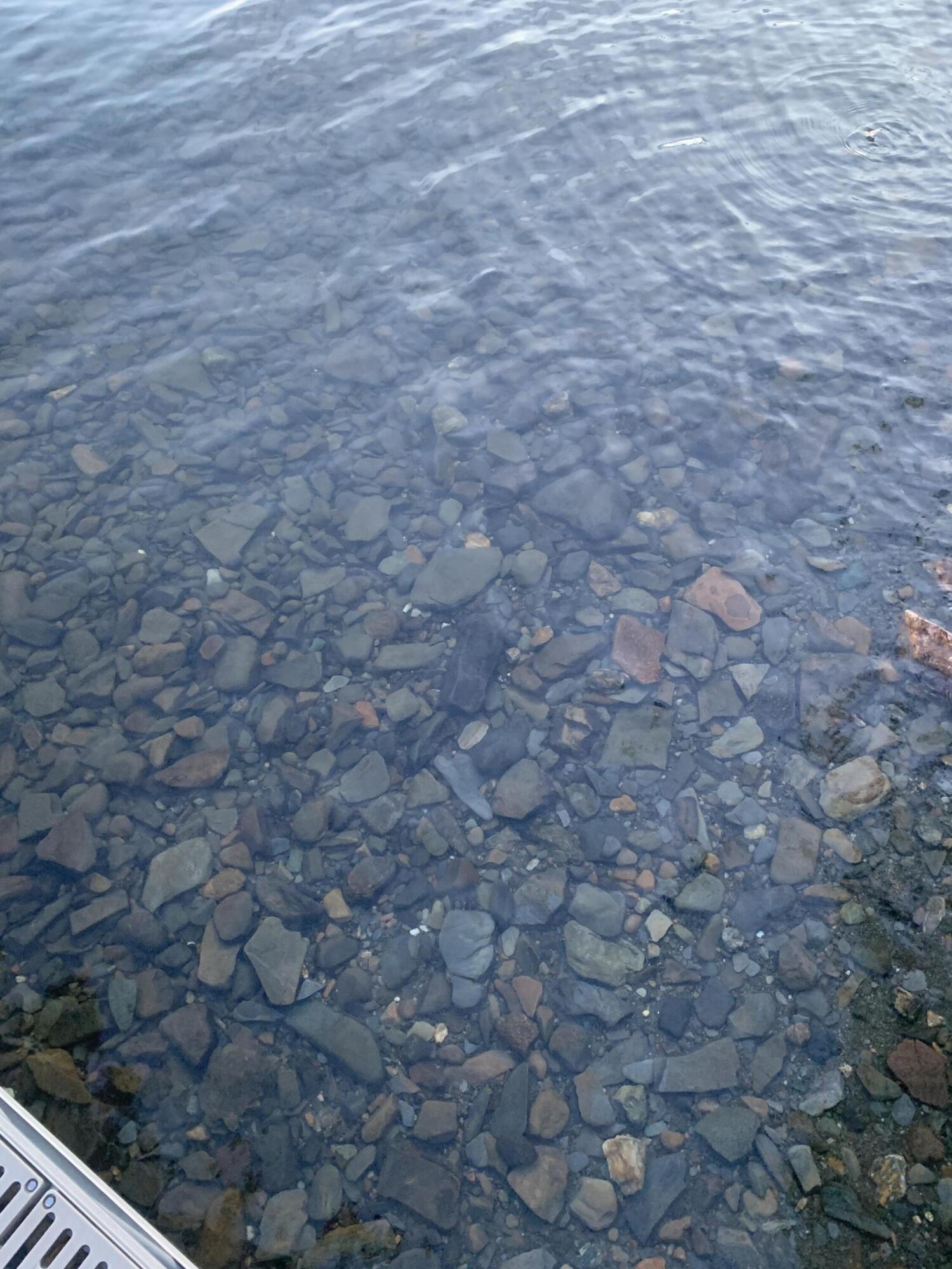 30 Salmon Ledge Road Rangeley, ME 04970 - Photo 44 of 61 IMG_0105