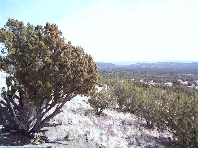8227 North County Road Vernon, AZ 85940 - Photo 2 of 5