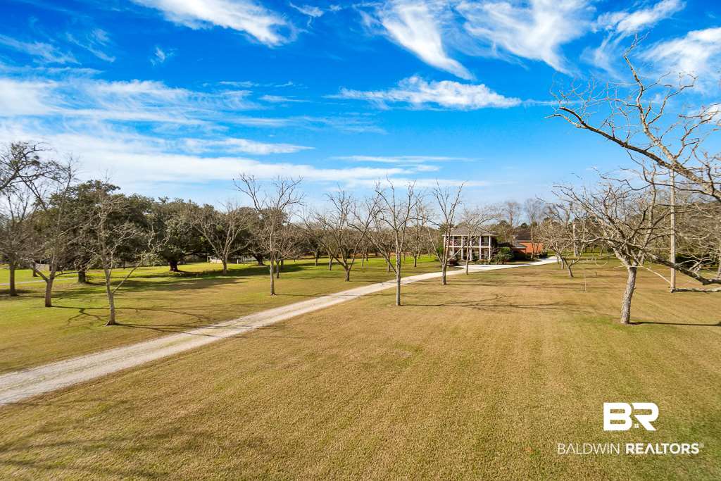 12523 Mary Ann Bch Road Fairhope, AL 36532 - Photo 4 of 41 Pecan Trees