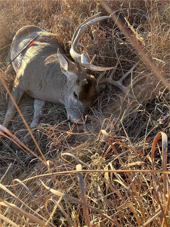 0 South Valencia Road Auburn, KS 66402 - Photo 11 of 14