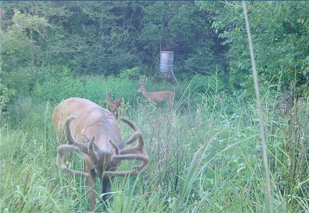 0 South Valencia Road Auburn, KS 66402 - Photo 13 of 14