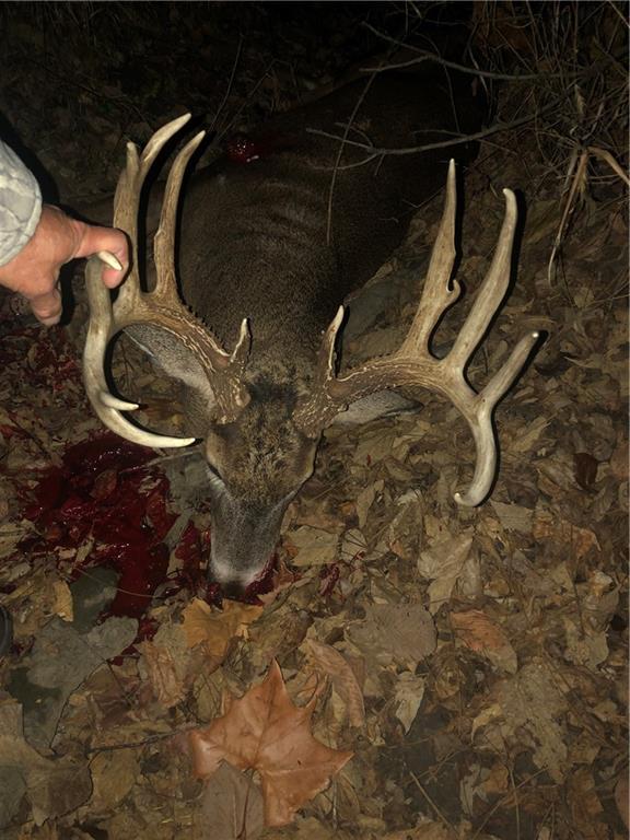 0 South Valencia Road Auburn, KS 66402 - Photo 14 of 14