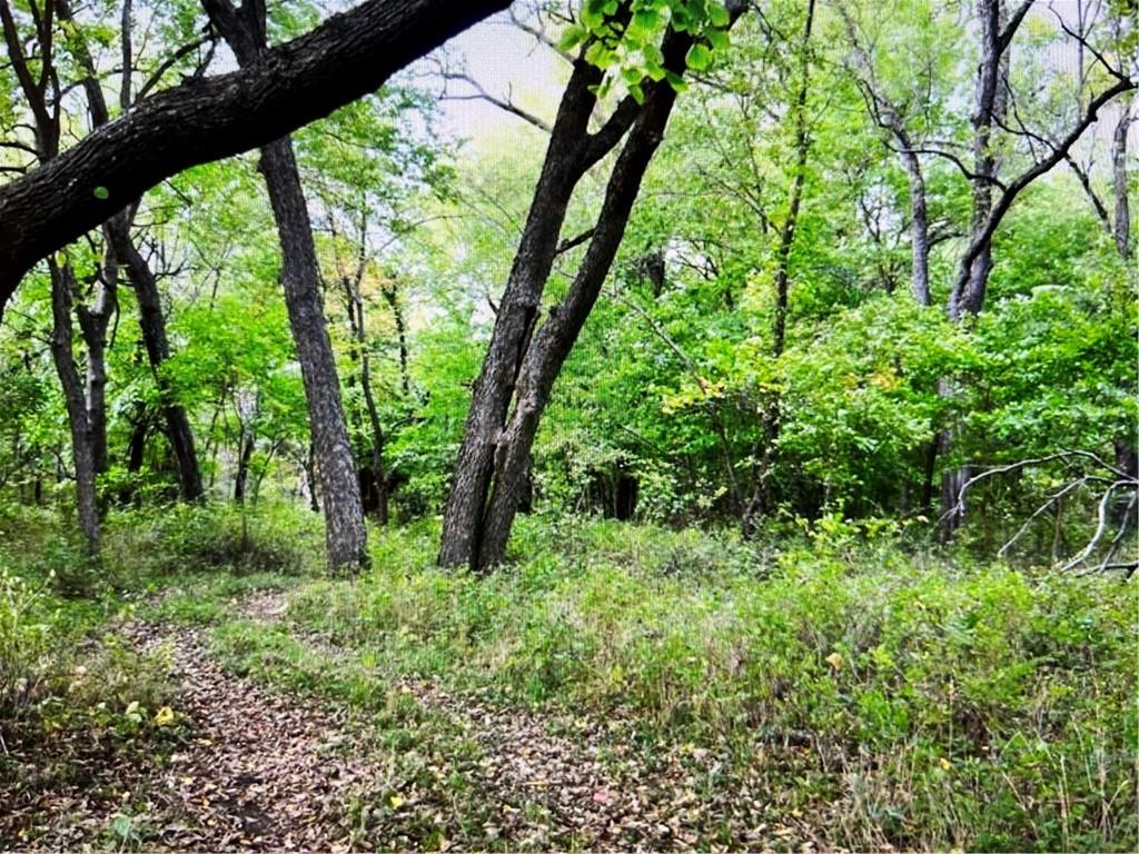 0 South Valencia Road Auburn, KS 66402 - Photo 4 of 14