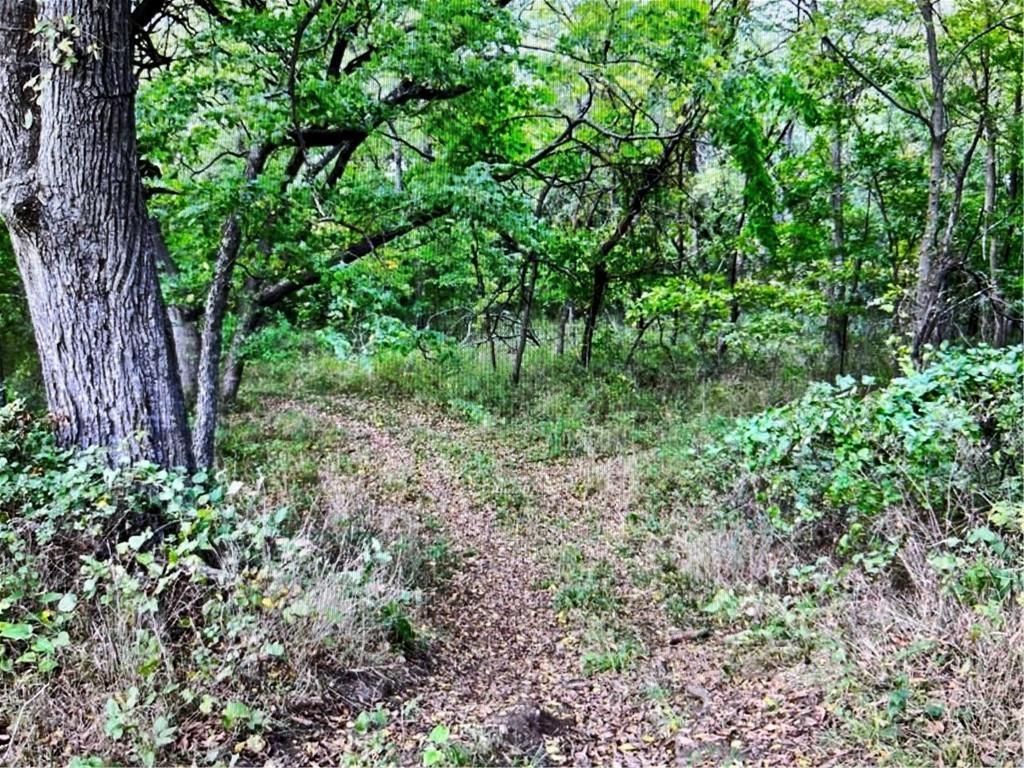 0 South Valencia Road Auburn, KS 66402 - Photo 5 of 14