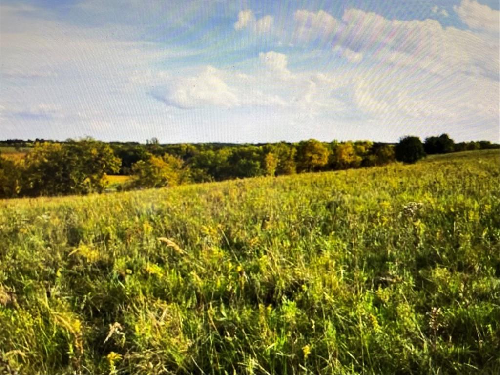 0 South Valencia Road Auburn, KS 66402 - Photo 6 of 14