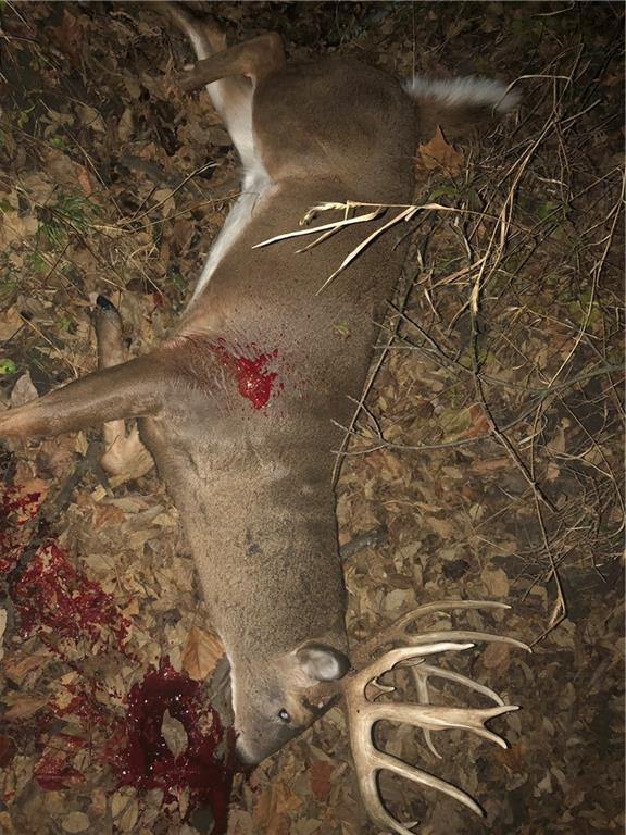 0 South Valencia Road Auburn, KS 66402 - Photo 8 of 14