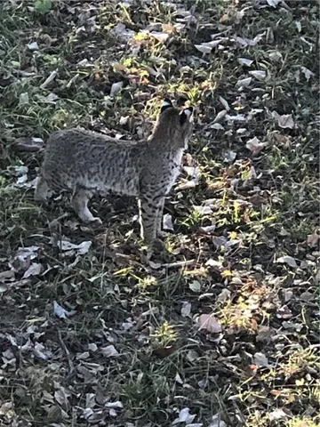 $756,700 | 0 South Valencia Road, Auburn, KS 66402