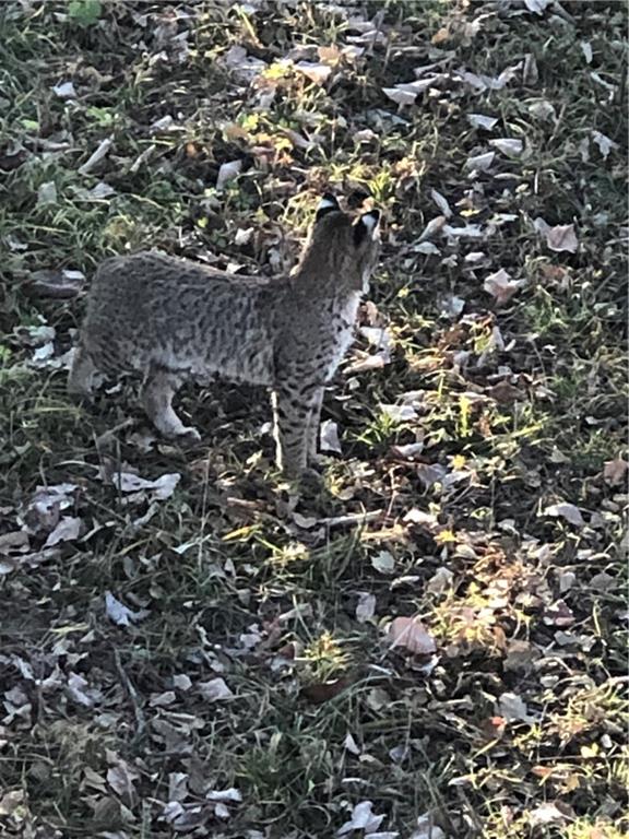0 South Valencia Road Auburn, KS 66402 - Photo 10 of 14
