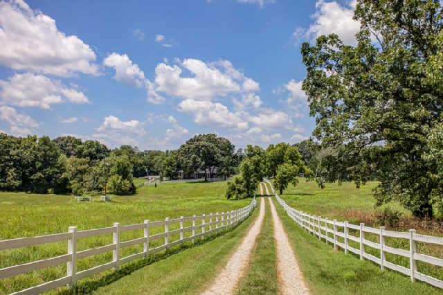 258 Rushton Road Only, TN 37140 - Photo 17 of 20 Gallery Image 17