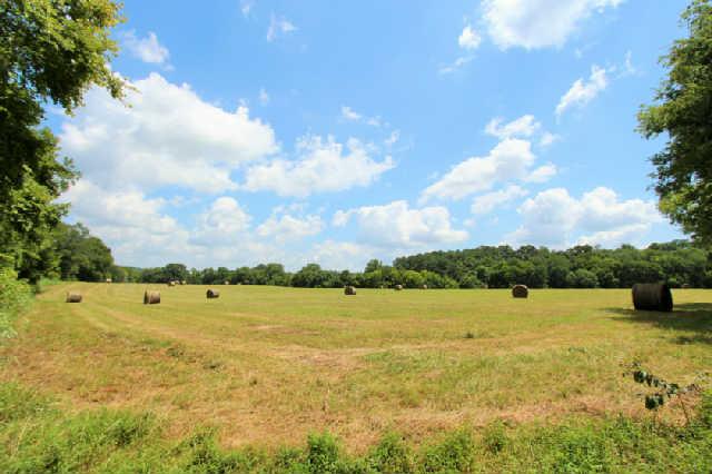 258 Rushton Road Only, TN 37140 - Photo 20 of 20 Gallery Image 20