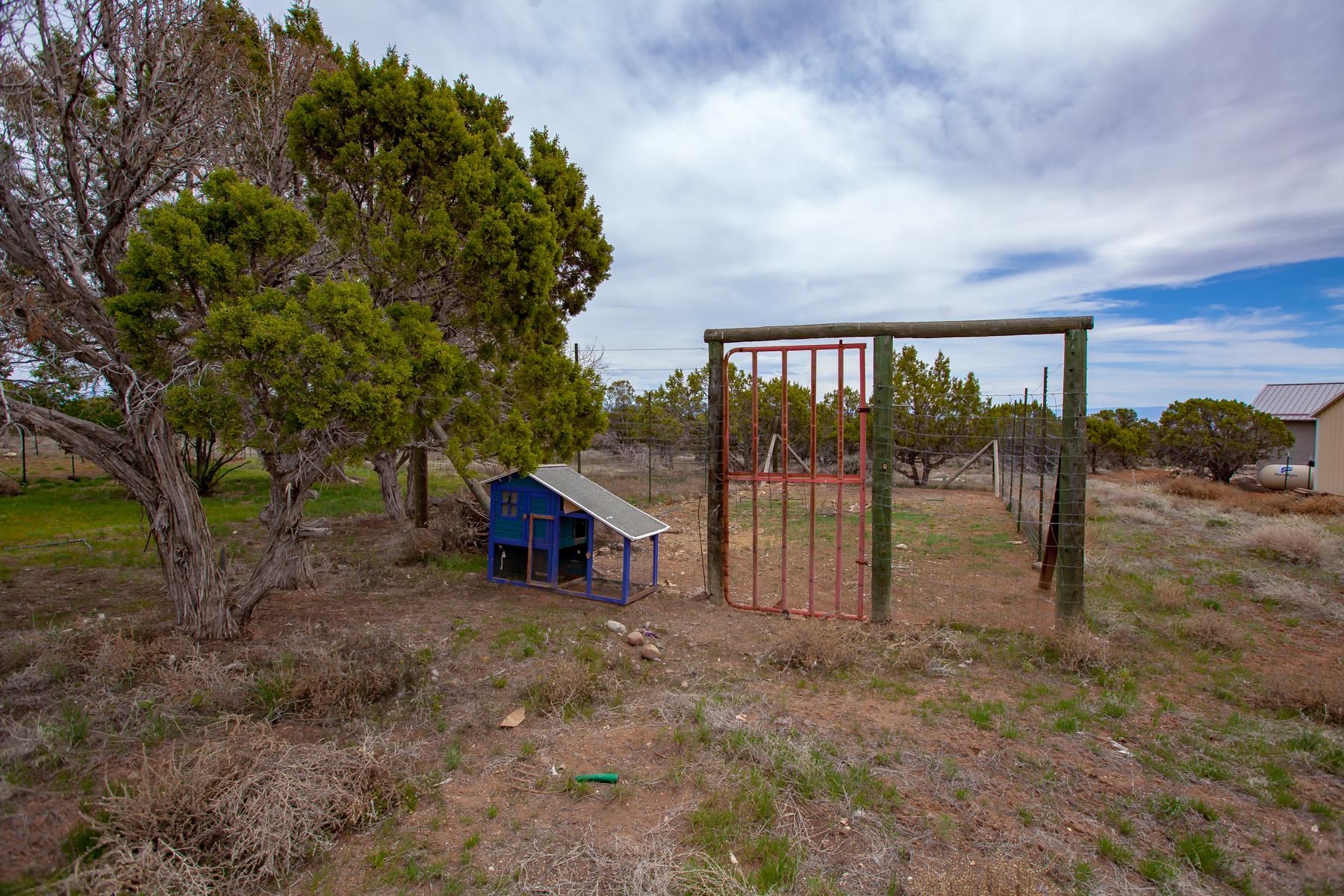 25352 Cedar Mesa Road Cedaredge, CO 81413 - Photo 28 of 42 a view of a house with a yard