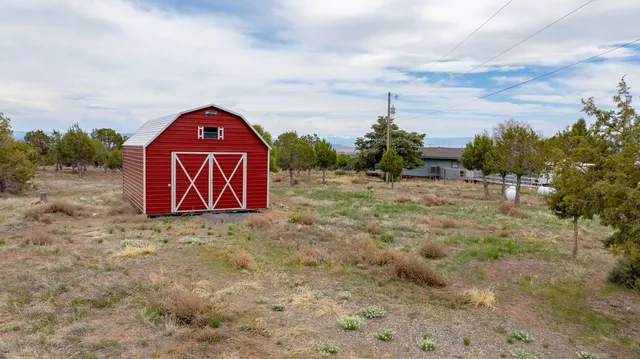a view of a dry yard with trees