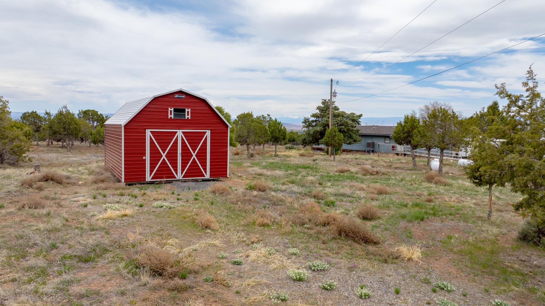 25352 Cedar Mesa Road Cedaredge, CO 81413 - Photo 29 of 42 a view of a dry yard with trees