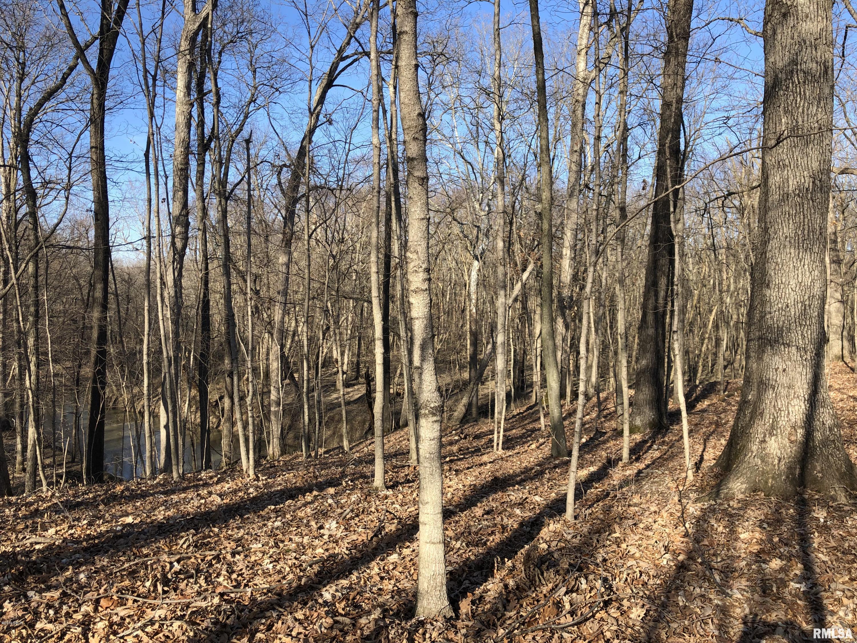 120 Bee Branch Road Iuka, IL 62849 - Photo 27 of 37
