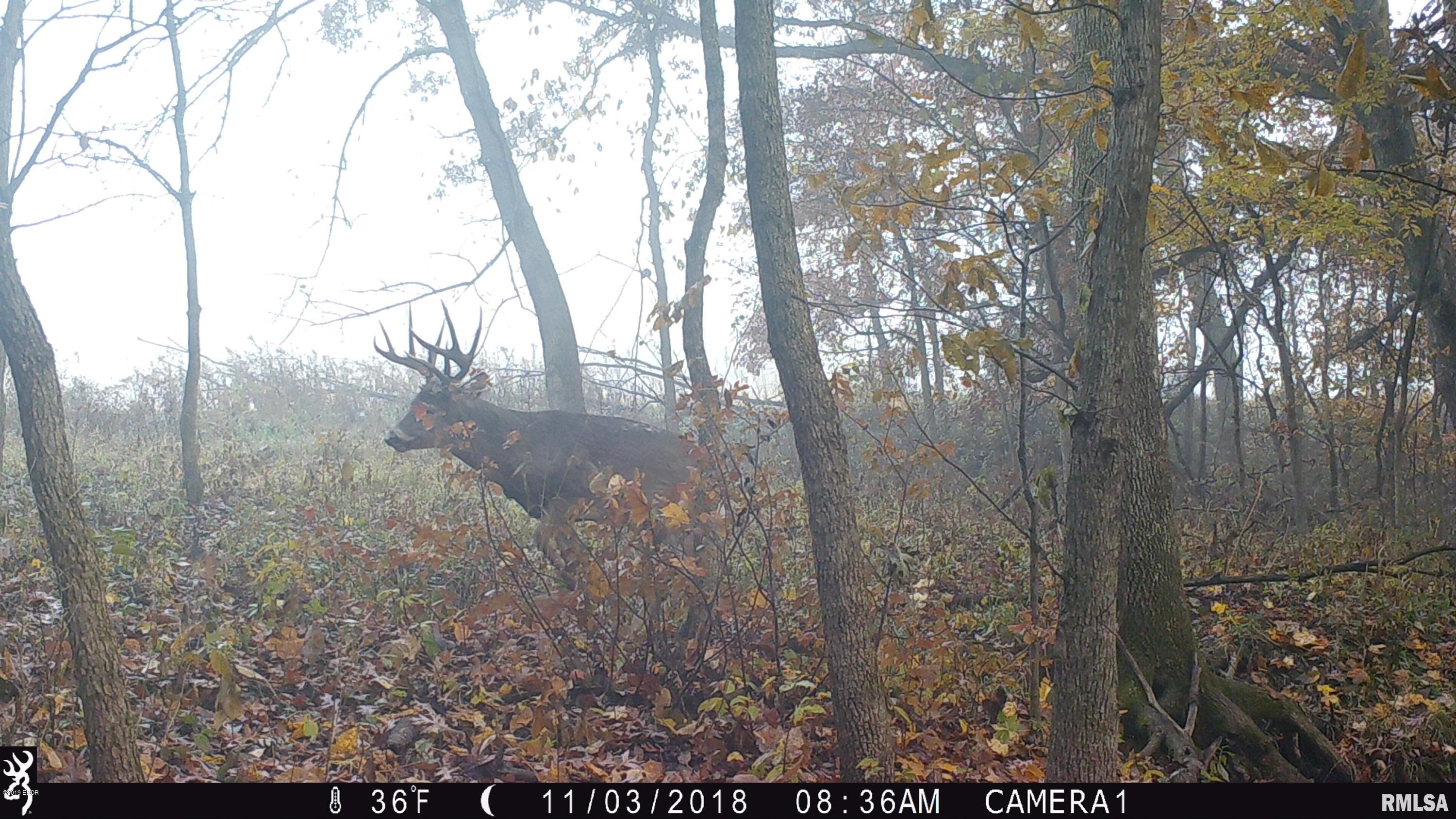 120 Bee Branch Road Iuka, IL 62849 - Photo 3 of 37