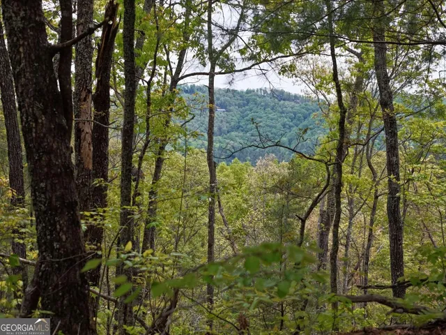 $49,900 | Lot 20 Crabapple Lane, Mineral Bluff, GA 30559