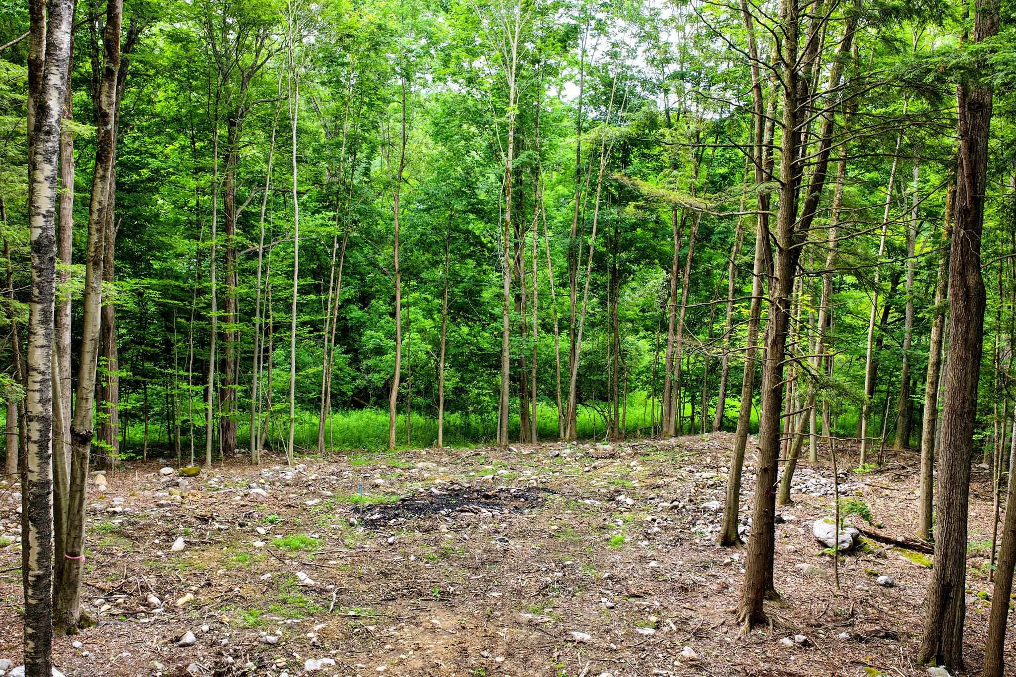 0 Cedar Lane, Unit LOT #4 Rutland, VT 05701 - Photo 4 of 19