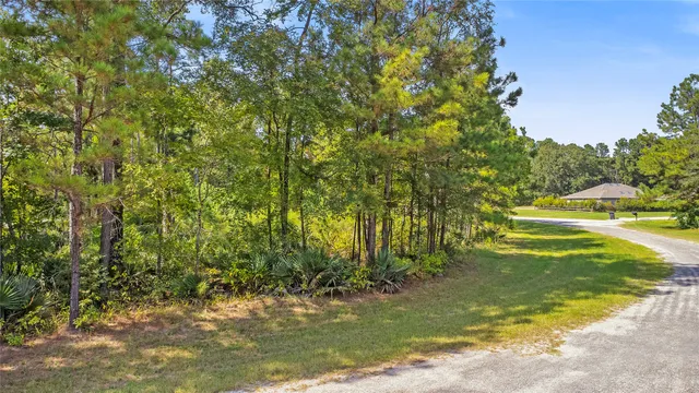 $28,000 | 10 Oakwood Drive, Huntsville, TX 77340