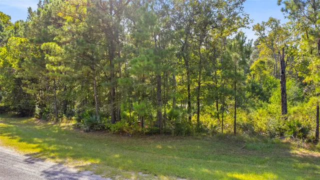 $28,000 | 10 Oakwood Drive, Huntsville, TX 77340