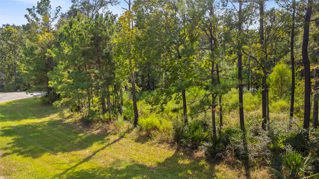 $28,000 | 10 Oakwood Drive, Huntsville, TX 77340