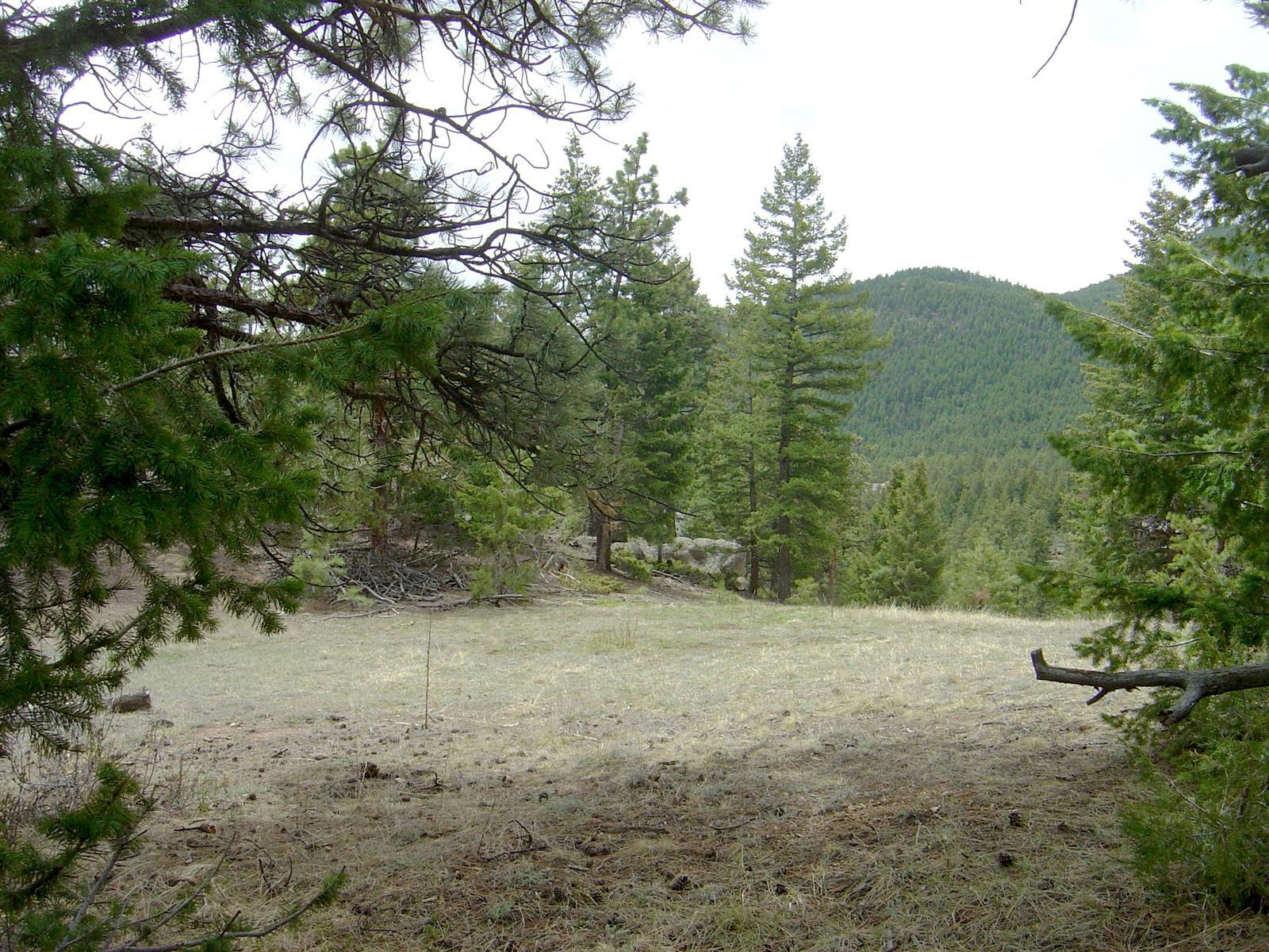0 Wagon Rim Trail Morrison, CO 80465 - Photo 1 of 1 Gallery Image 1