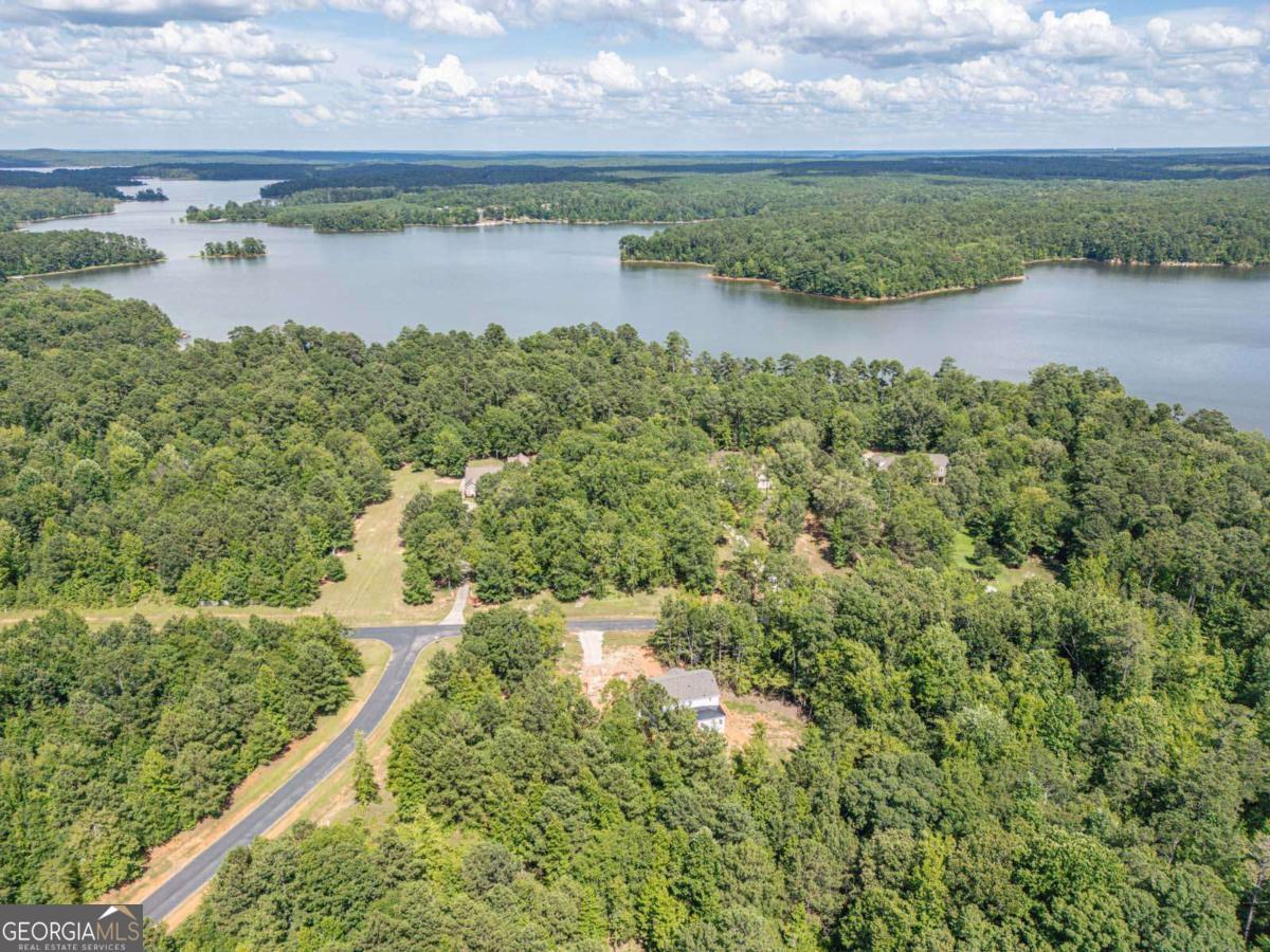 1021 Pointe Street South Tignall, GA 30668 - Photo 45 of 48 a view of a lake with a yard