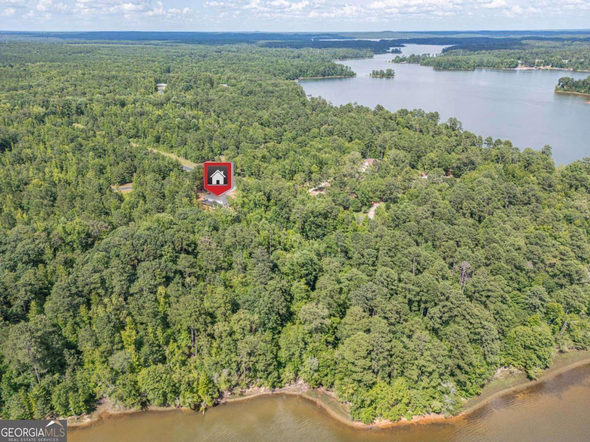 1021 Pointe Street South Tignall, GA 30668 - Photo 47 of 48 a view of lake from front of building