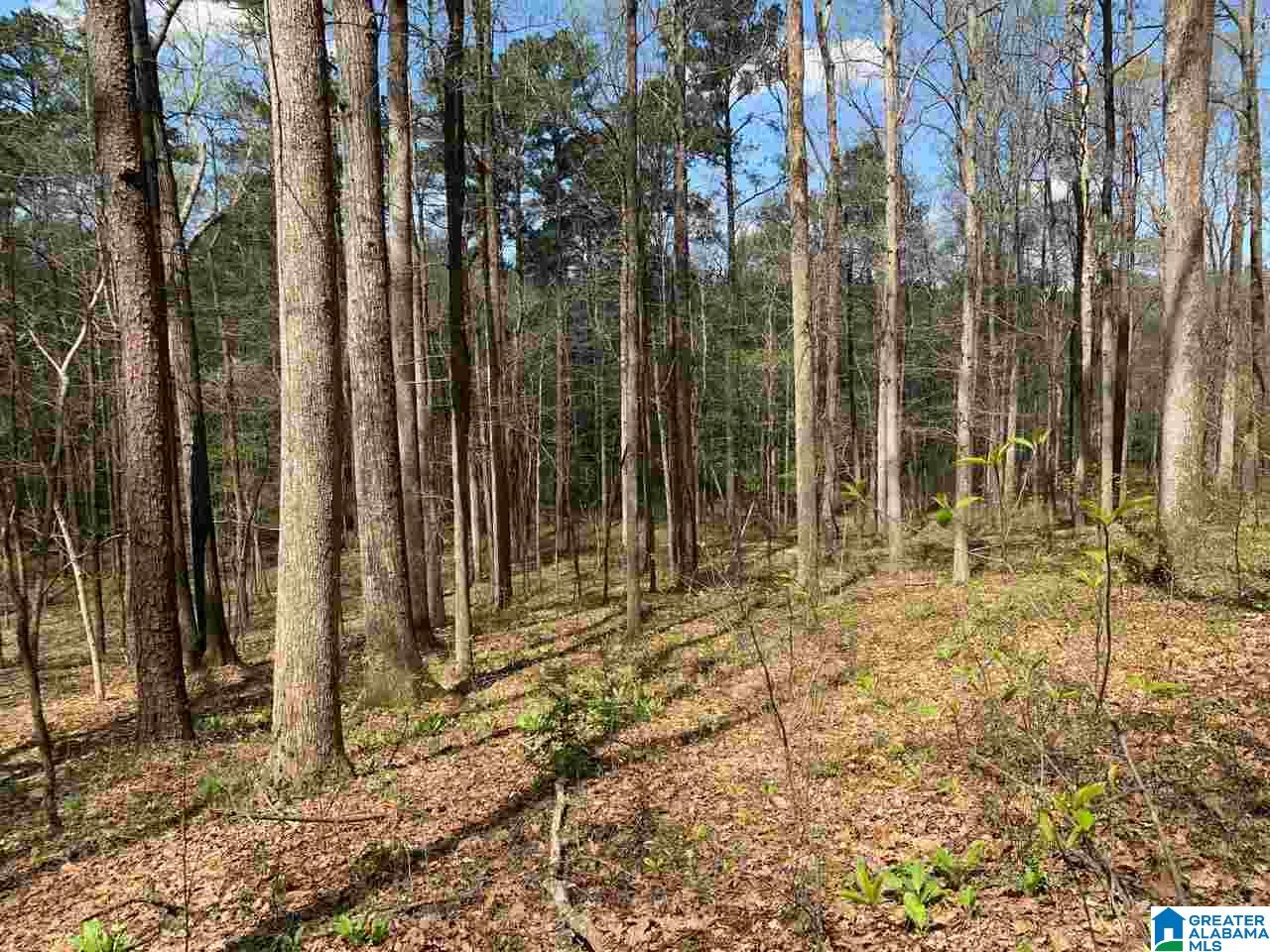 5925 Cahaba Valley Road, Unit 1 Birmingham, AL 35242 - Photo 5 of 21