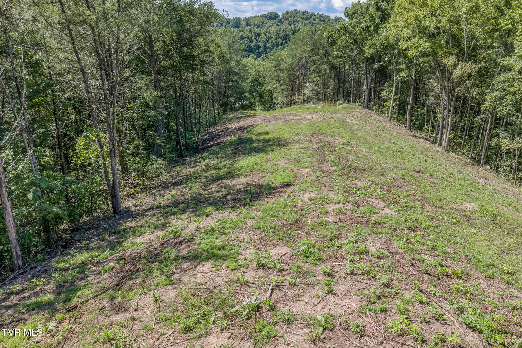 0 Old Cemetery Road Greeneville, TN 37745 - Photo 34 of 37 280 Old Cemetery Rd-38