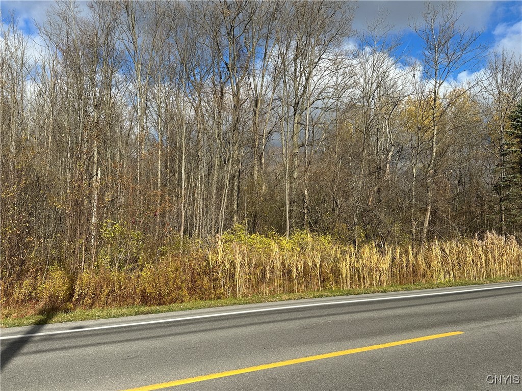 4 County Rte 4 Route Oswego, NY 13126 - Photo 1 of 5