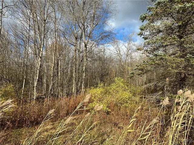 $39,900 | 4 County Rte 4 Route, Oswego, NY 13126