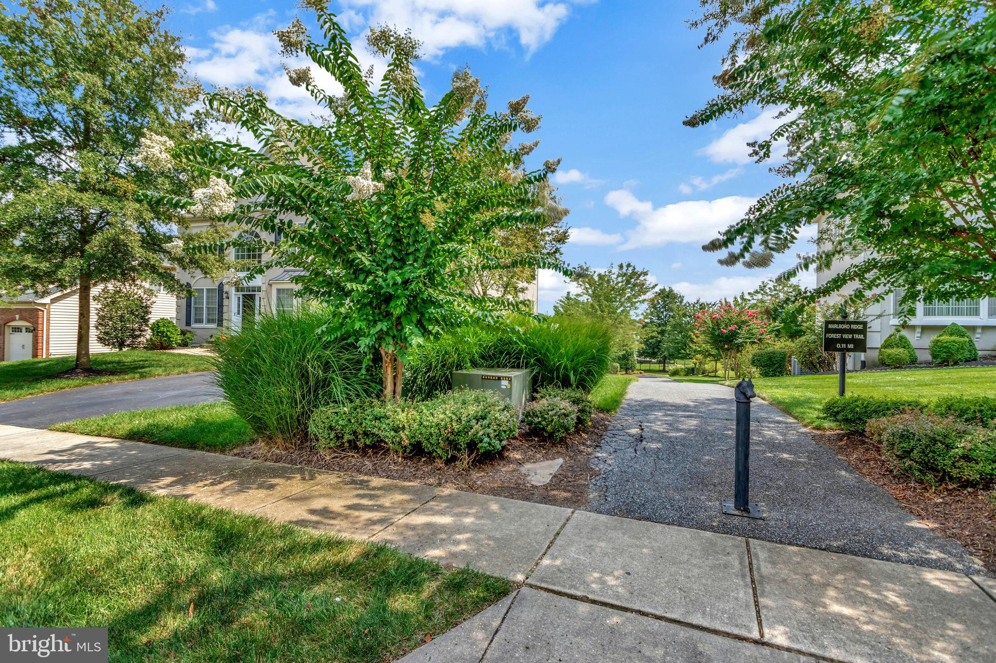 11203 Marlboro Ridge Road Upper Marlboro, MD 20772 - Photo 67 of 85 Gallery Image 67