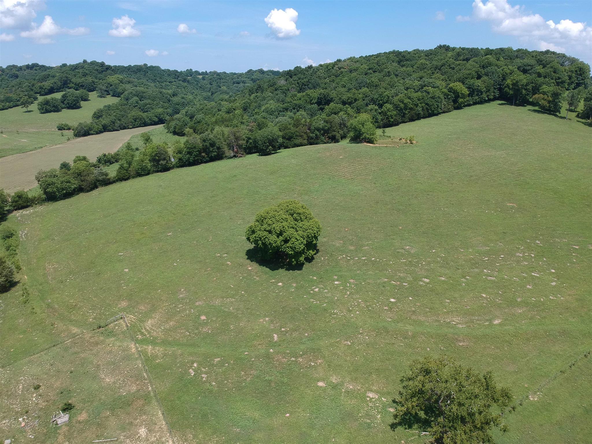 153 Polecat Branch Road Fayetteville, TN 37334 - Photo 2 of 10