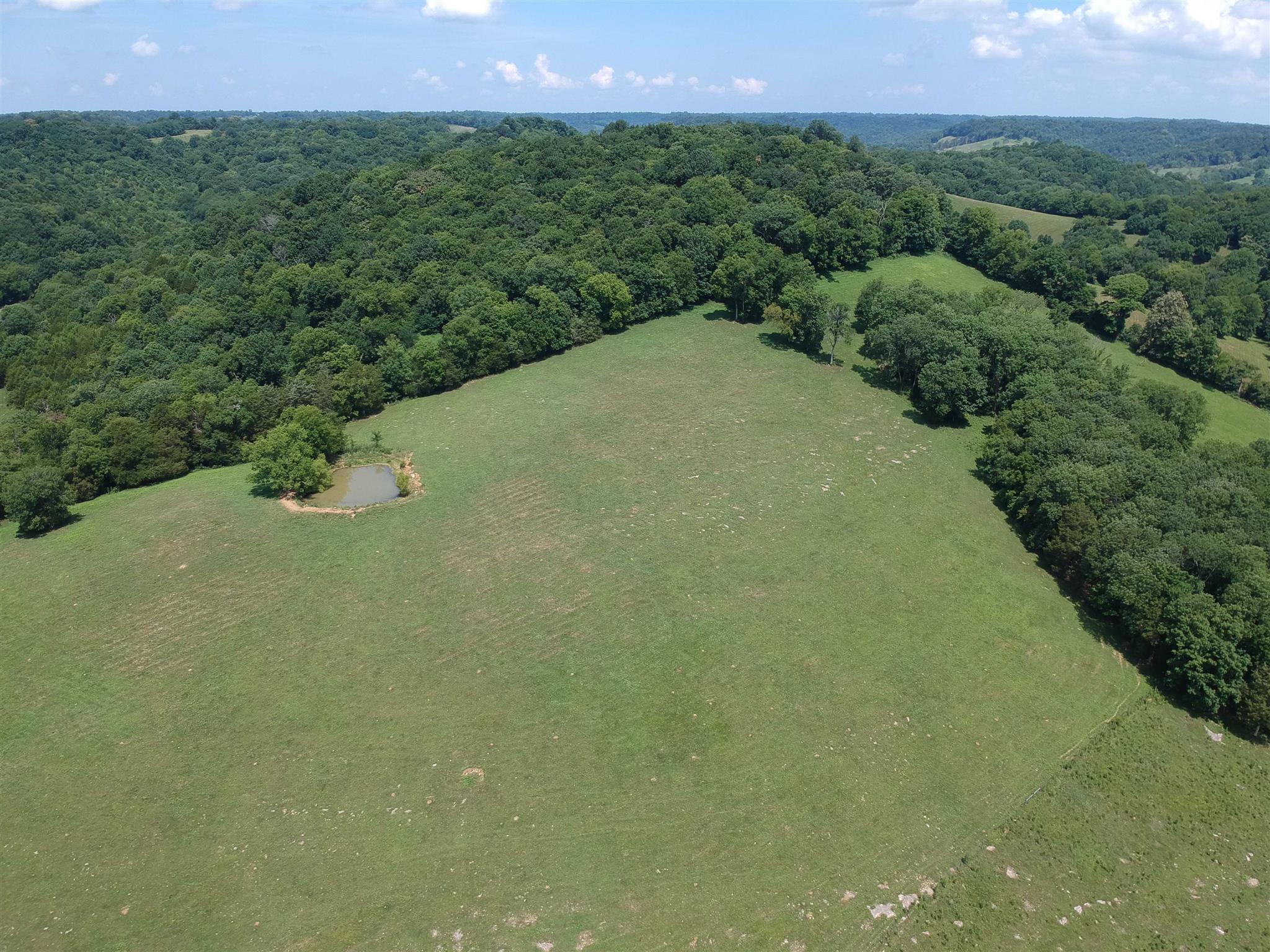 153 Polecat Branch Road Fayetteville, TN 37334 - Photo 3 of 10