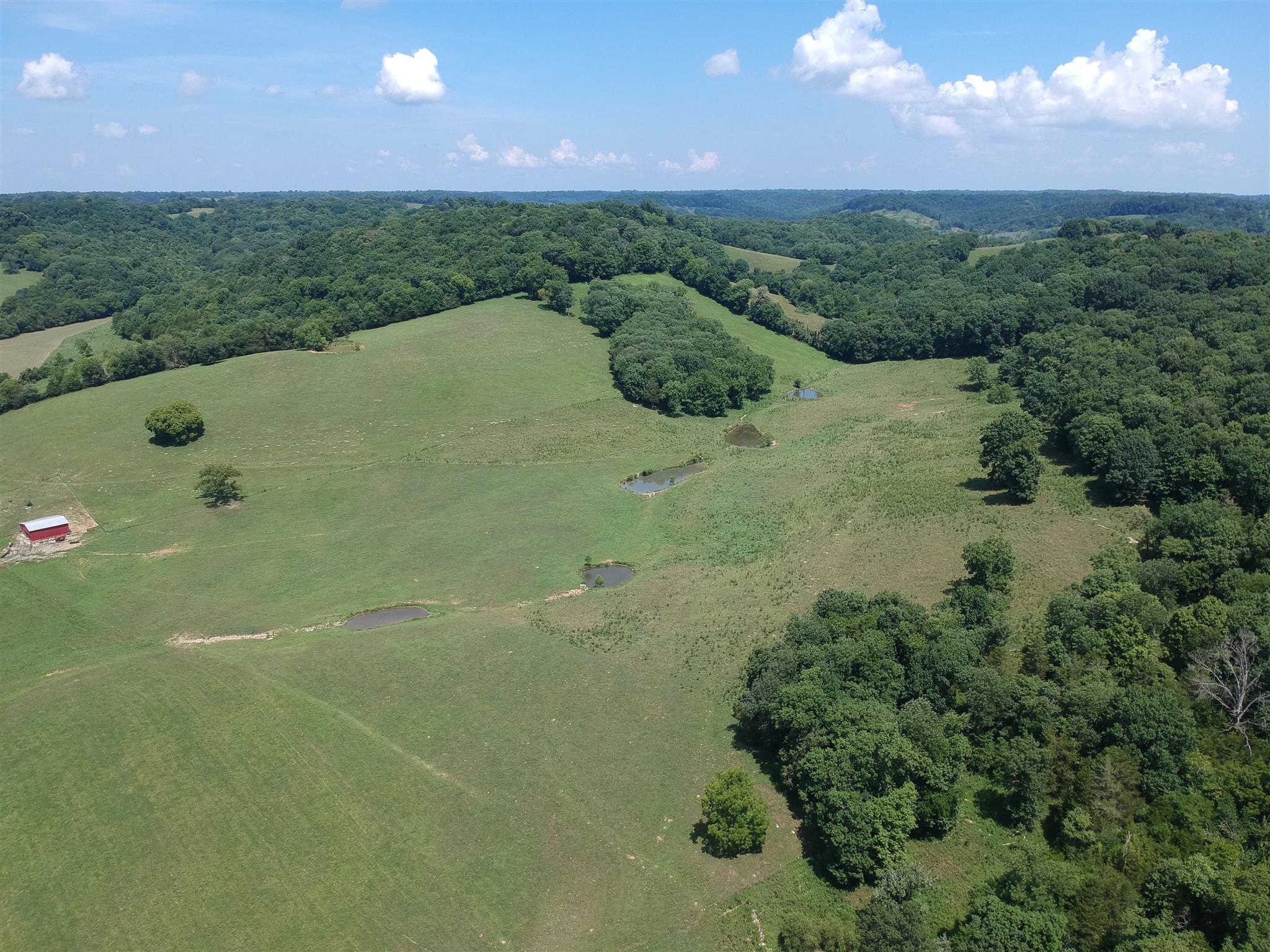 153 Polecat Branch Road Fayetteville, TN 37334 - Photo 4 of 10