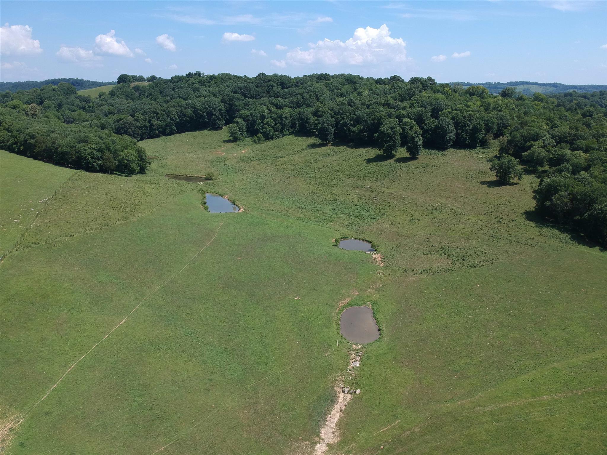 153 Polecat Branch Road Fayetteville, TN 37334 - Photo 6 of 10